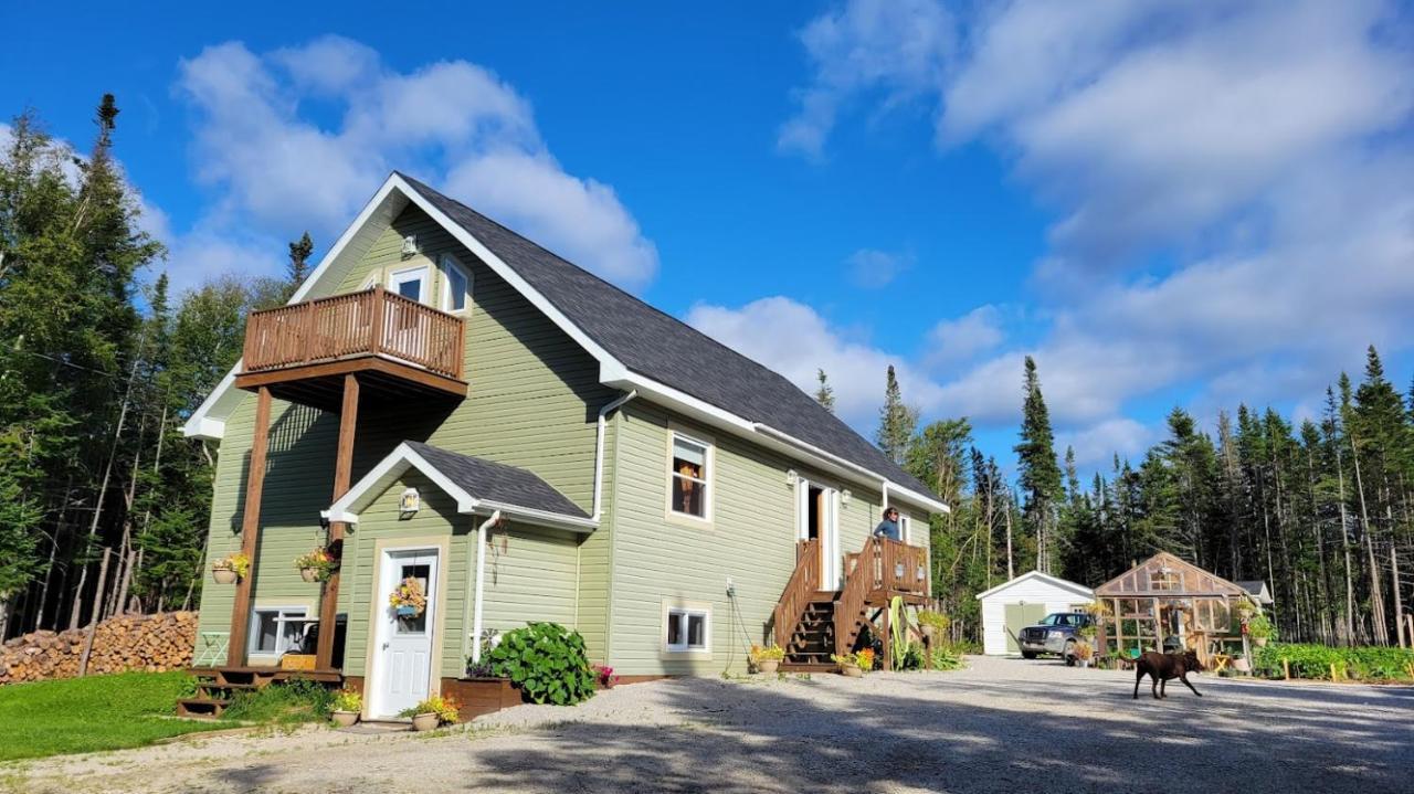 Upper Humber Settlement A Farmstay B&B Cormack Экстерьер фото