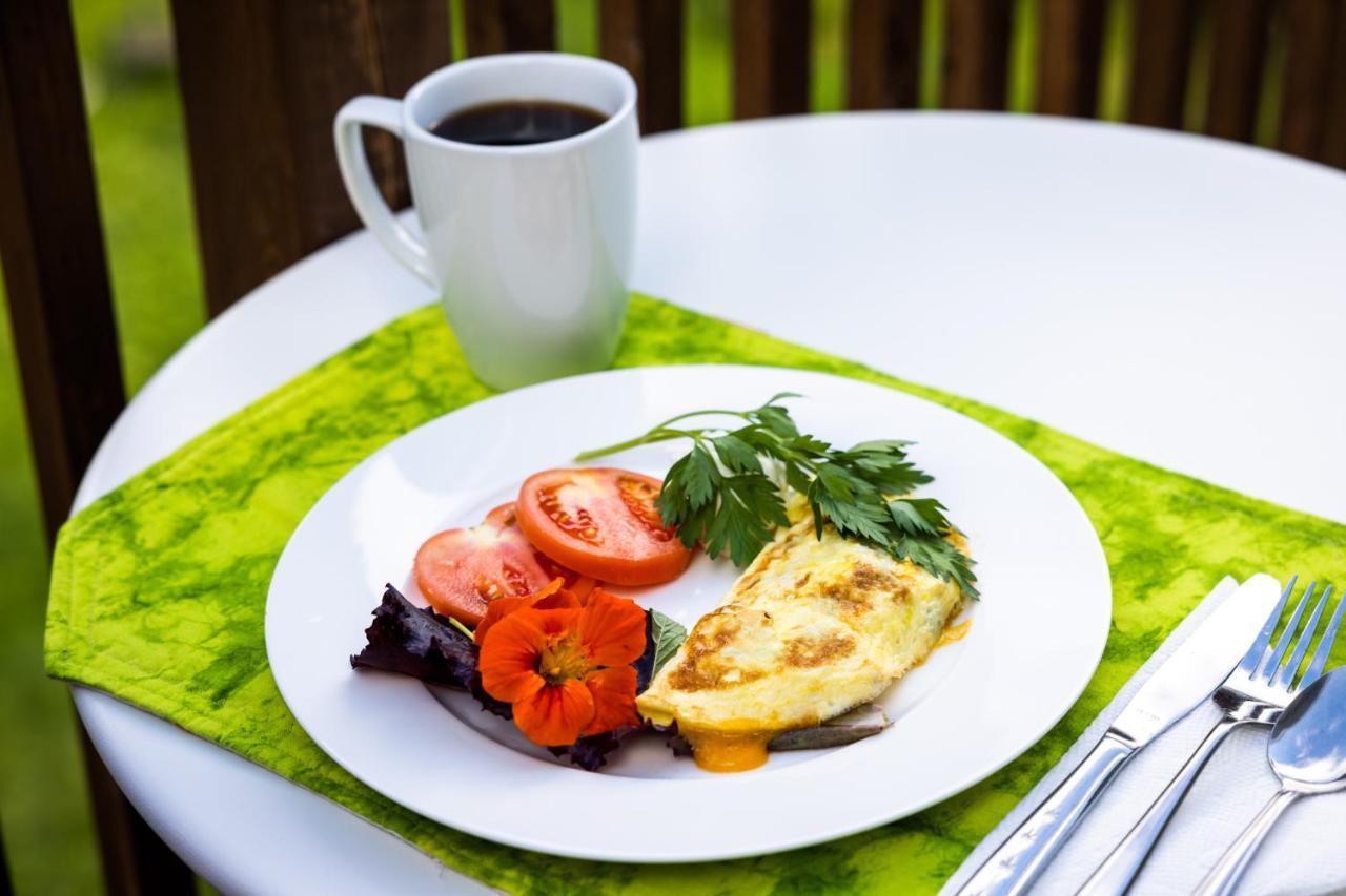 Upper Humber Settlement A Farmstay B&B Cormack Экстерьер фото