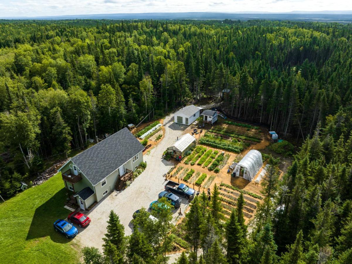 Upper Humber Settlement A Farmstay B&B Cormack Экстерьер фото