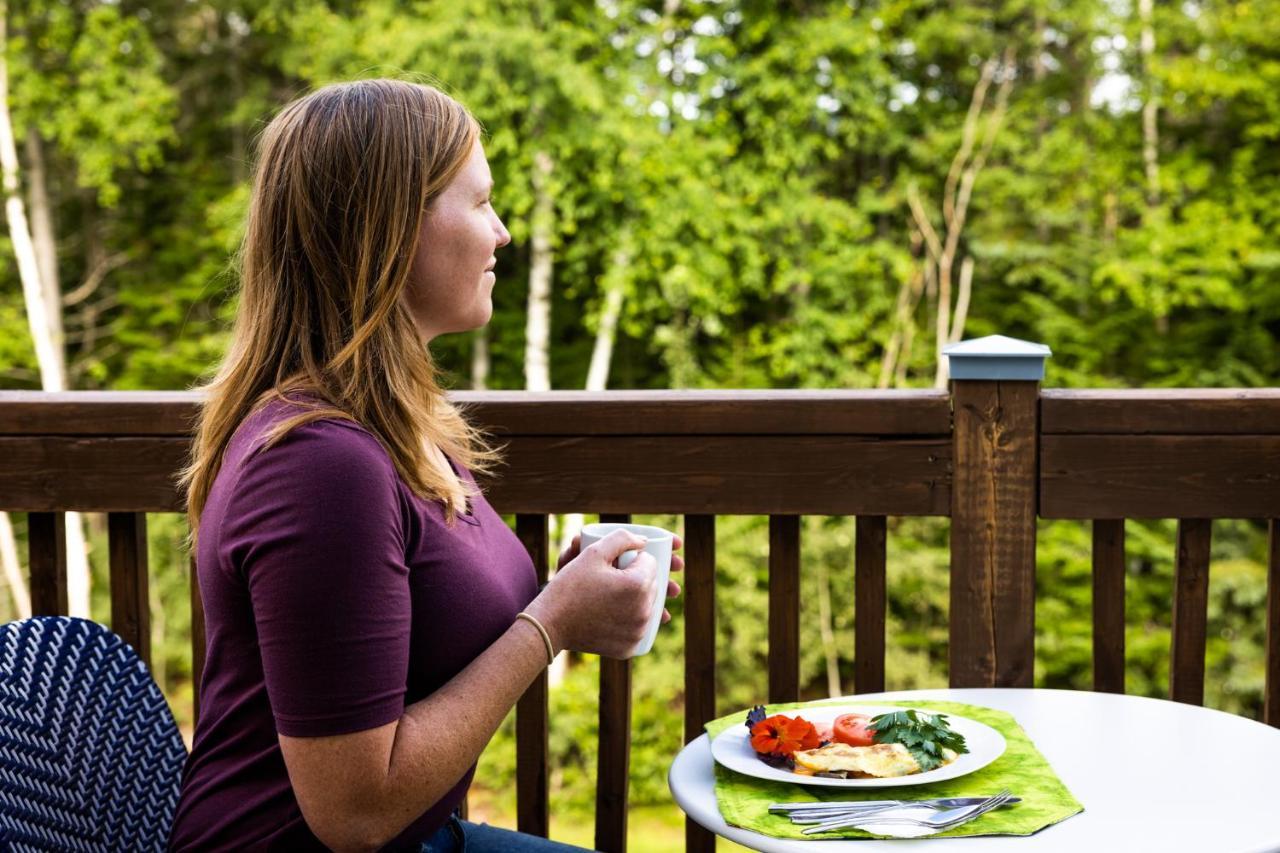Upper Humber Settlement A Farmstay B&B Cormack Экстерьер фото