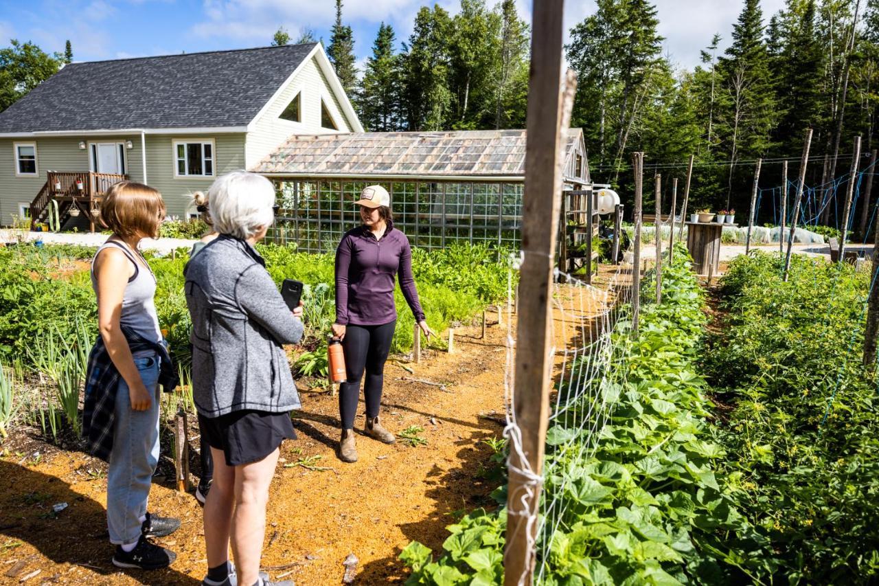 Upper Humber Settlement A Farmstay B&B Cormack Экстерьер фото