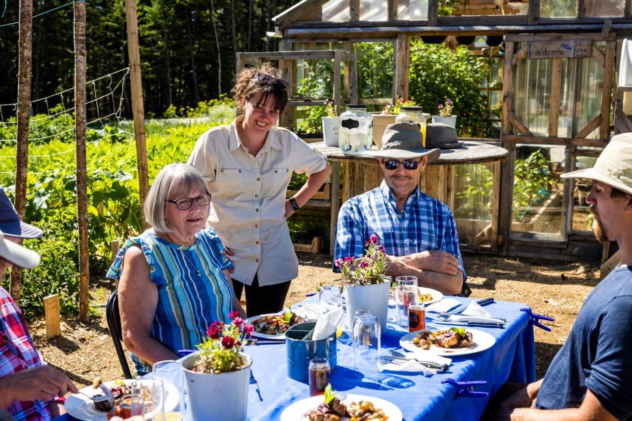 Upper Humber Settlement A Farmstay B&B Cormack Экстерьер фото